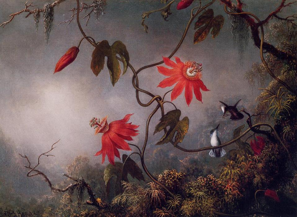 WikiOO.org - Encyclopedia of Fine Arts - Maľba, Artwork Martin Johnson Heade - Passion Flowers and Hummingbirds