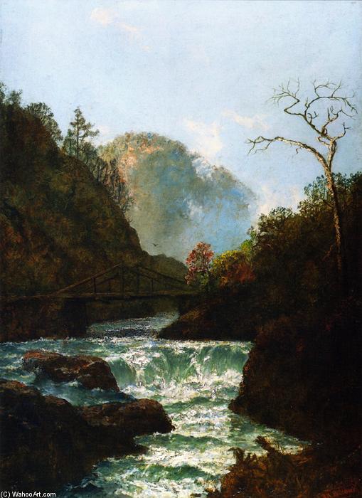 WikiOO.org - Encyclopedia of Fine Arts - Maleri, Artwork Ralph Albert Blakelock - Pawpack Falls, Hawley, Pennsylvania