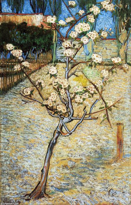 WikiOO.org - Güzel Sanatlar Ansiklopedisi - Resim, Resimler Vincent Van Gogh - Pear Tree in Blossom