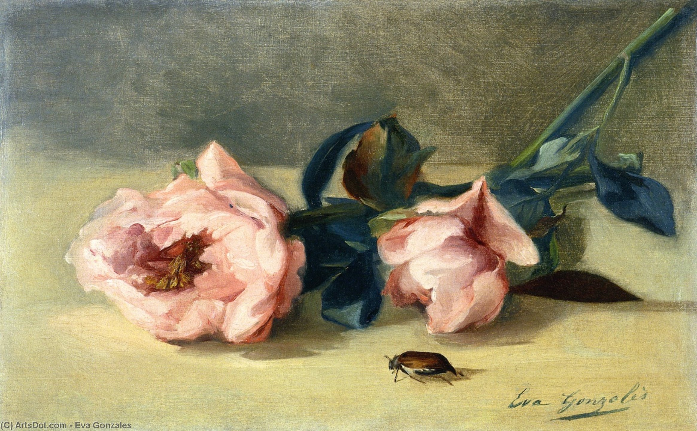 Wikioo.org - The Encyclopedia of Fine Arts - Painting, Artwork by Eva Gonzales - Peonies and June Bug