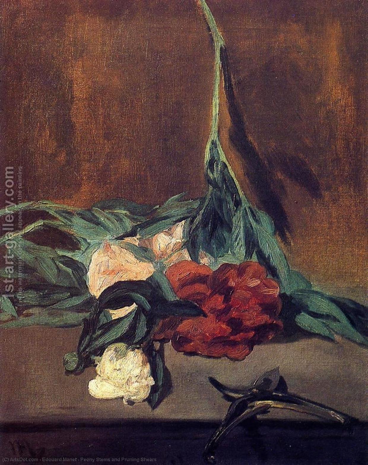 Wikioo.org - The Encyclopedia of Fine Arts - Painting, Artwork by Edouard Manet - Peony Stems and Pruning Shears