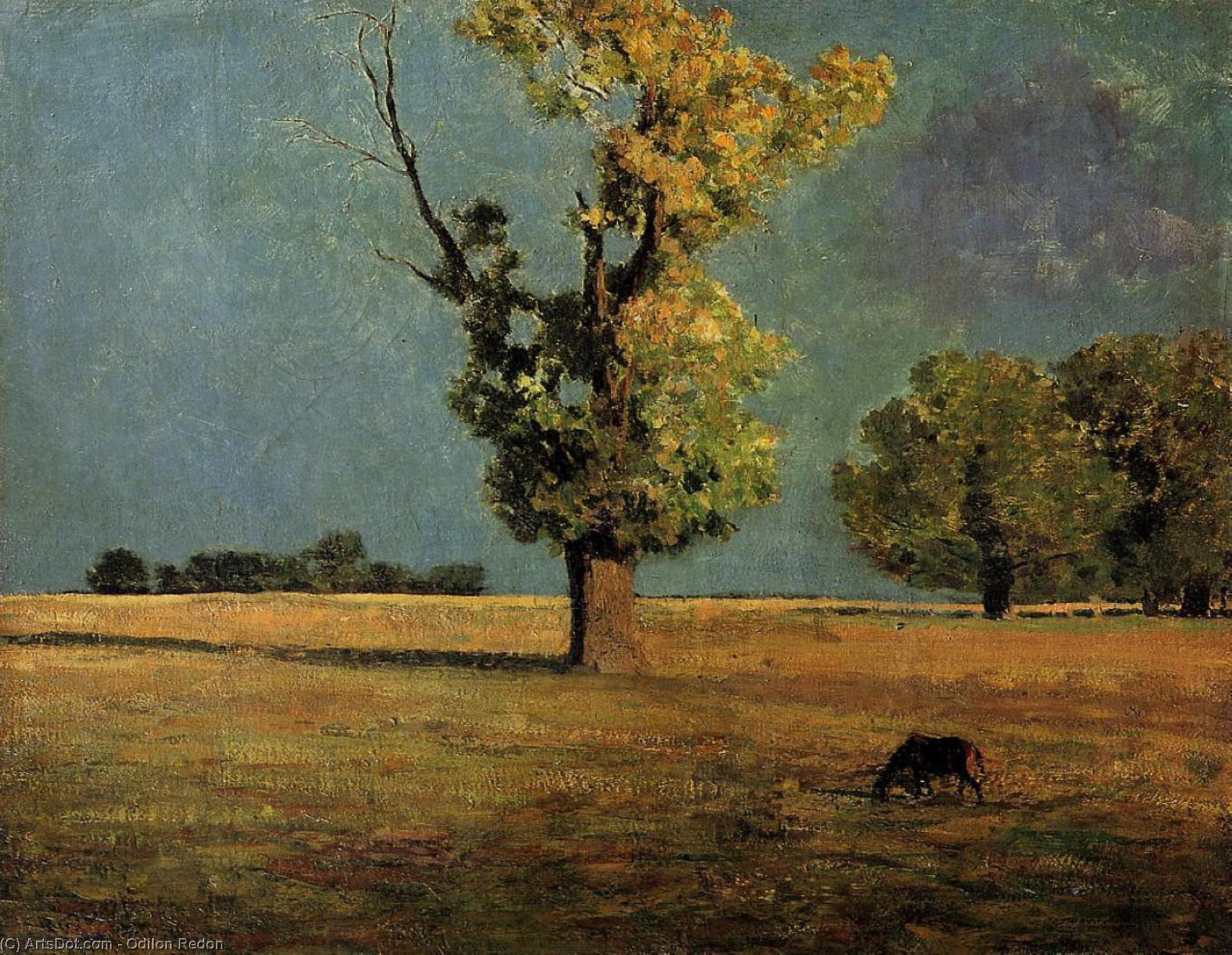 Wikioo.org - The Encyclopedia of Fine Arts - Painting, Artwork by Odilon Redon - Peyrelebade Landscape