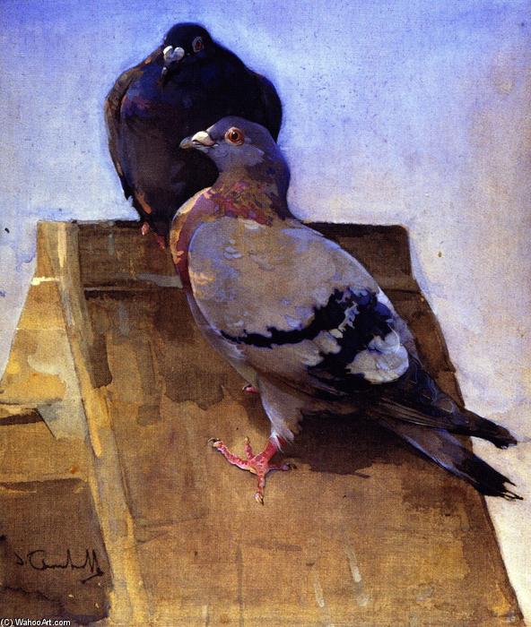 WikiOO.org - Enciclopédia das Belas Artes - Pintura, Arte por Joseph Crawhall - Pigeons on the Roof