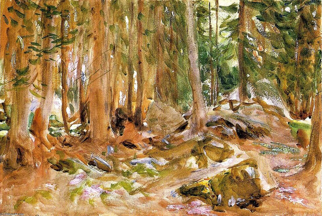 WikiOO.org - Encyclopedia of Fine Arts - Schilderen, Artwork John Singer Sargent - Pine Forest