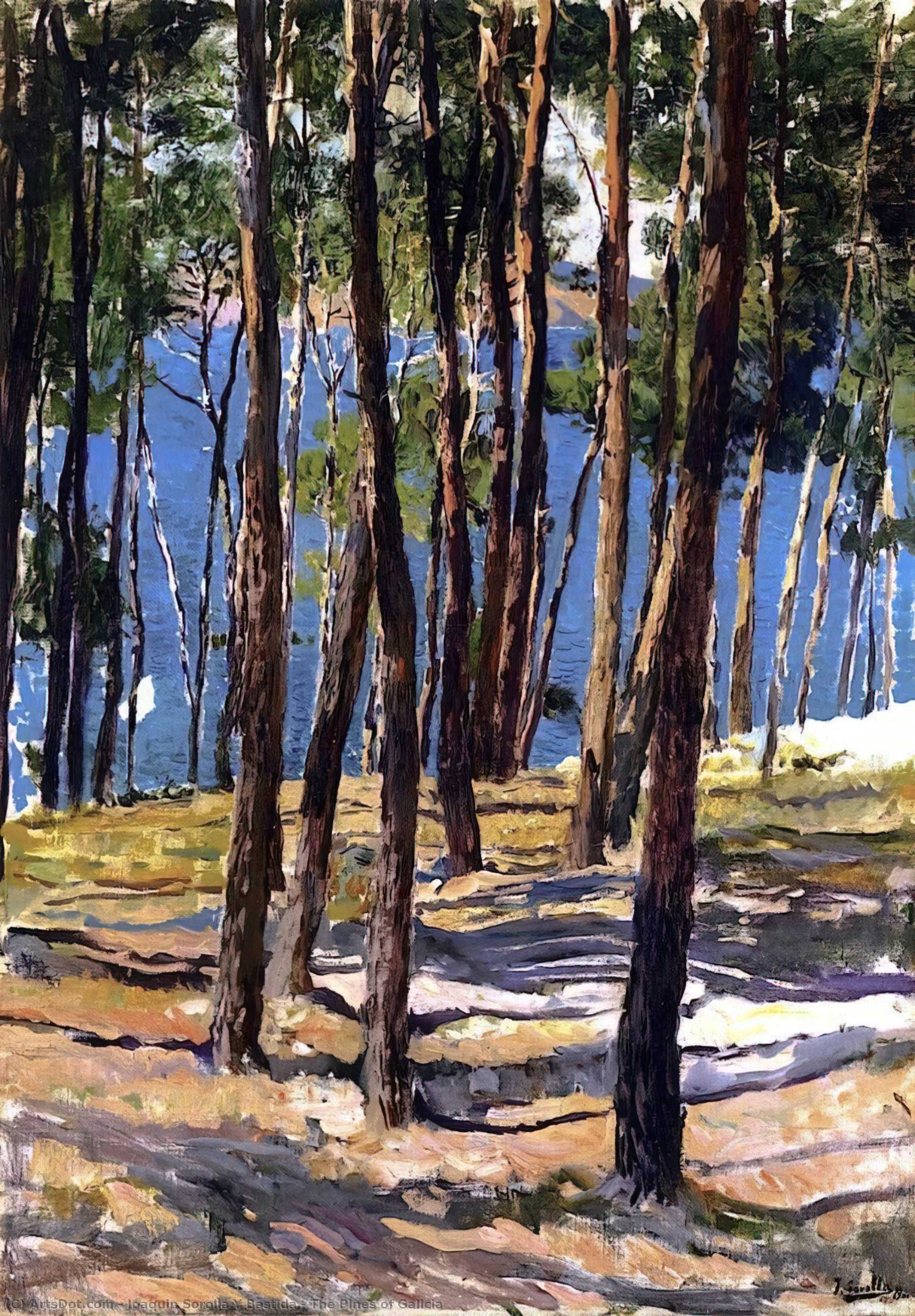 Wikioo.org - The Encyclopedia of Fine Arts - Painting, Artwork by Joaquin Sorolla Y Bastida - The Pines of Galicia