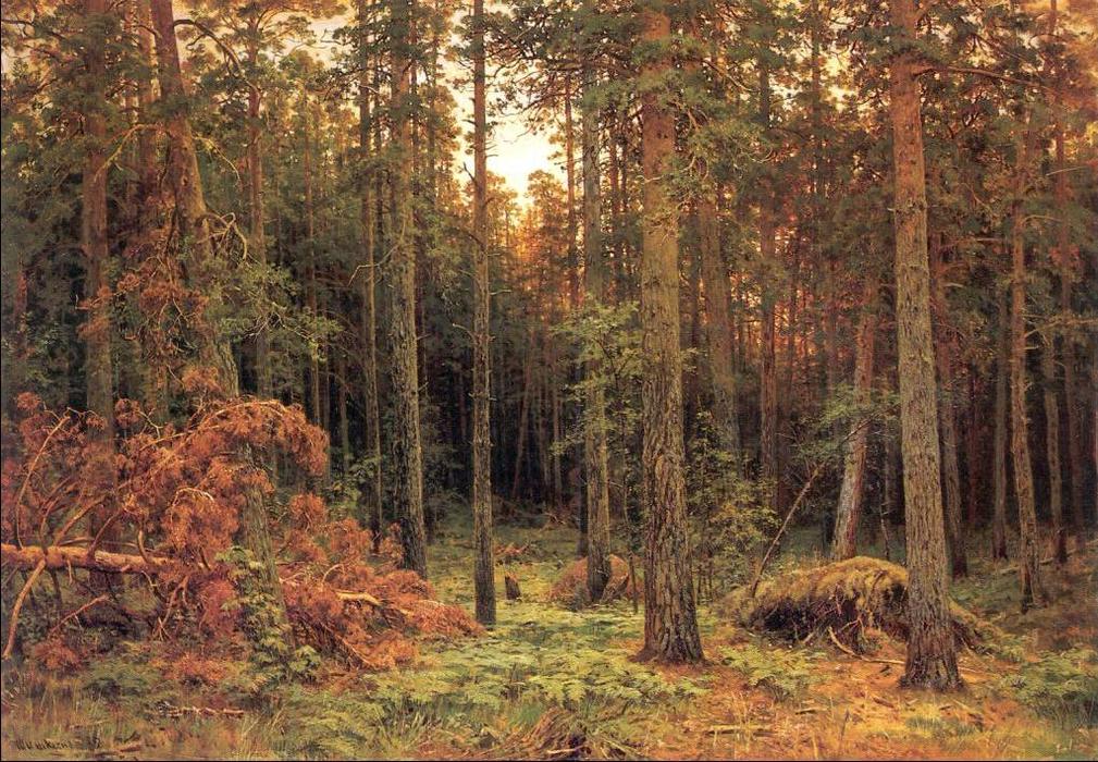 WikiOO.org - אנציקלופדיה לאמנויות יפות - ציור, יצירות אמנות Ivan Ivanovich Shishkin - Piny wood