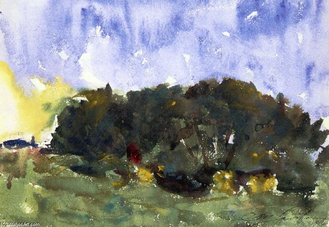 WikiOO.org - Енциклопедия за изящни изкуства - Живопис, Произведения на изкуството Charles Webster Hawthorne - The Poplar Grove