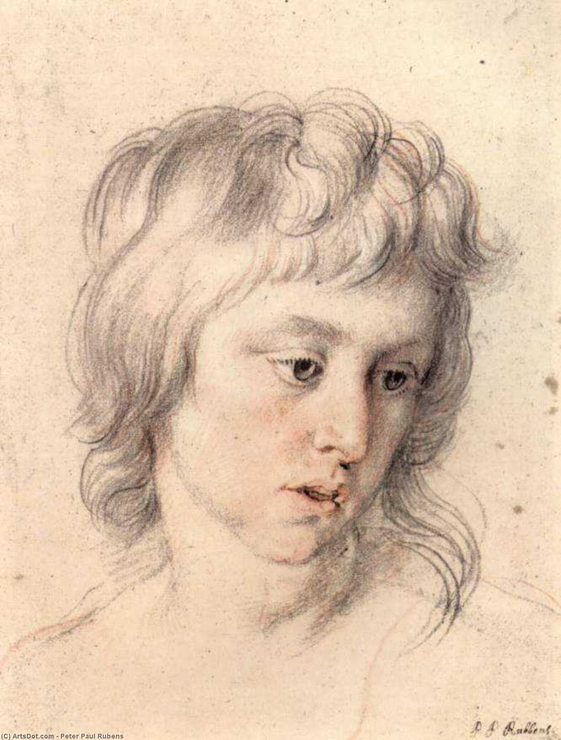 WikiOO.org - Encyclopedia of Fine Arts - Schilderen, Artwork Peter Paul Rubens - Portrait of boy