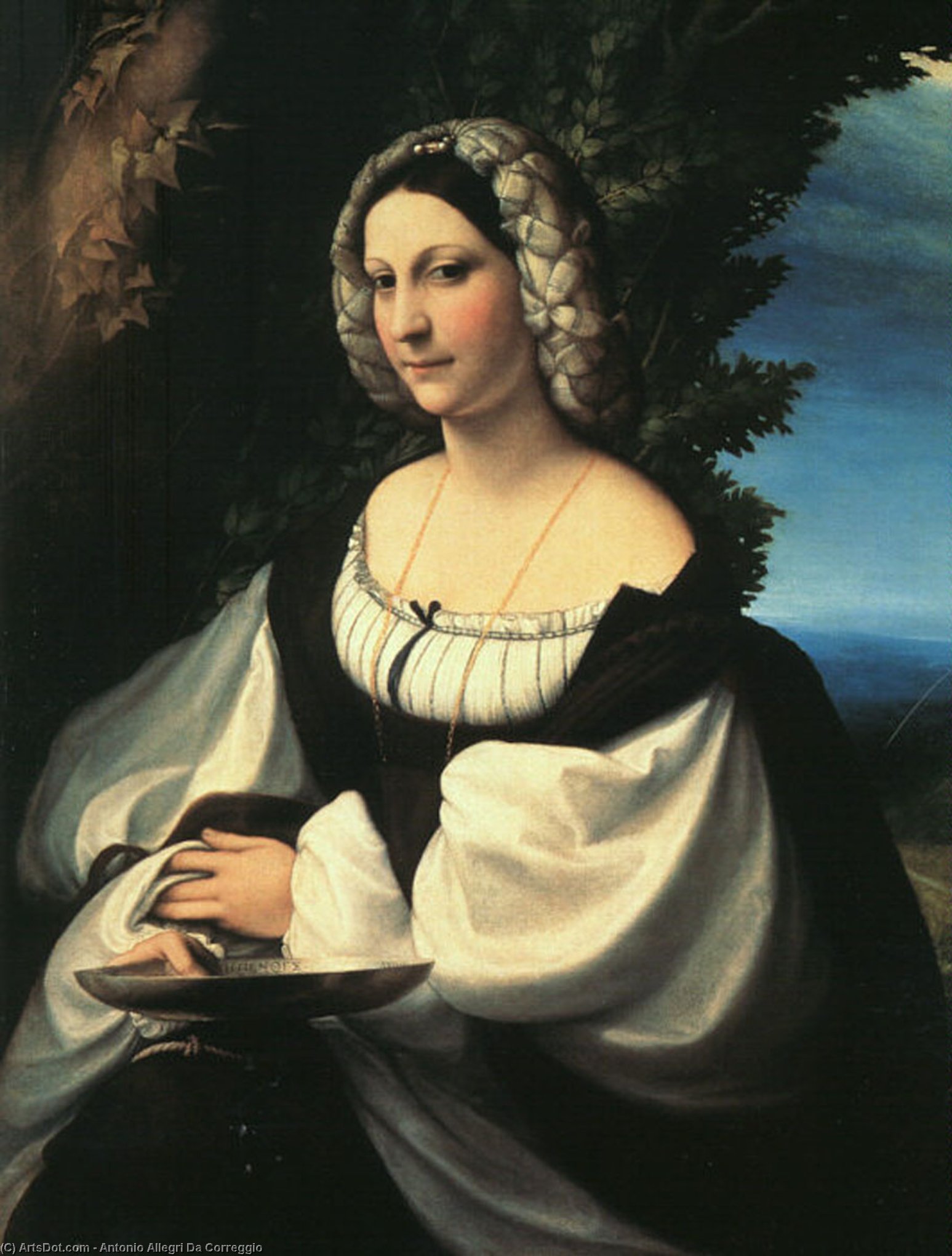 WikiOO.org - 百科事典 - 絵画、アートワーク Antonio Allegri Da Correggio - の肖像画 貴婦人