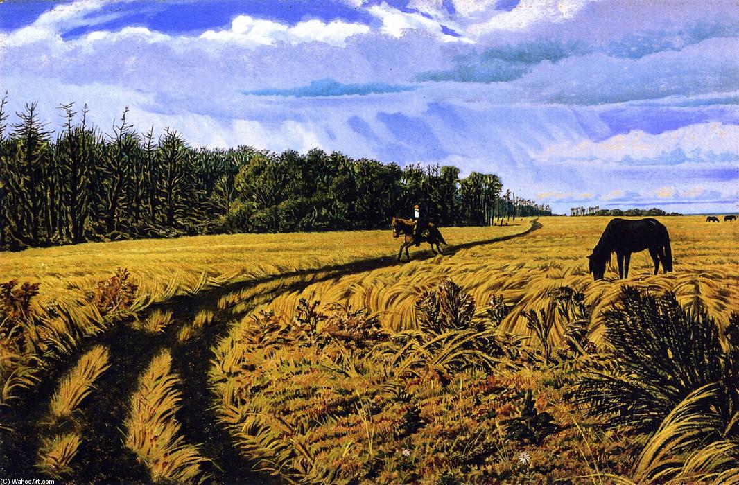 Wikioo.org - สารานุกรมวิจิตรศิลป์ - จิตรกรรม William George Richardson Hind - A Prairie Road