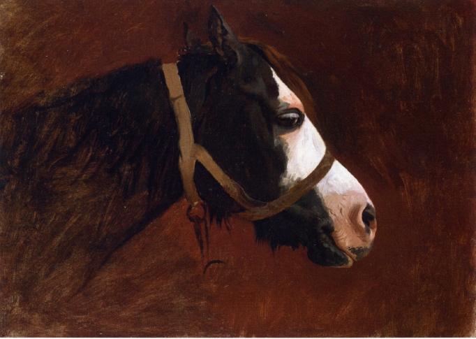 Wikioo.org - The Encyclopedia of Fine Arts - Painting, Artwork by Jean Léon Gérôme - Profile of a Horse