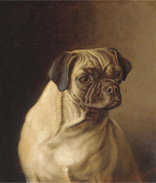 Wikioo.org - The Encyclopedia of Fine Arts - Painting, Artwork by Horatio Henry Couldery - A Pug