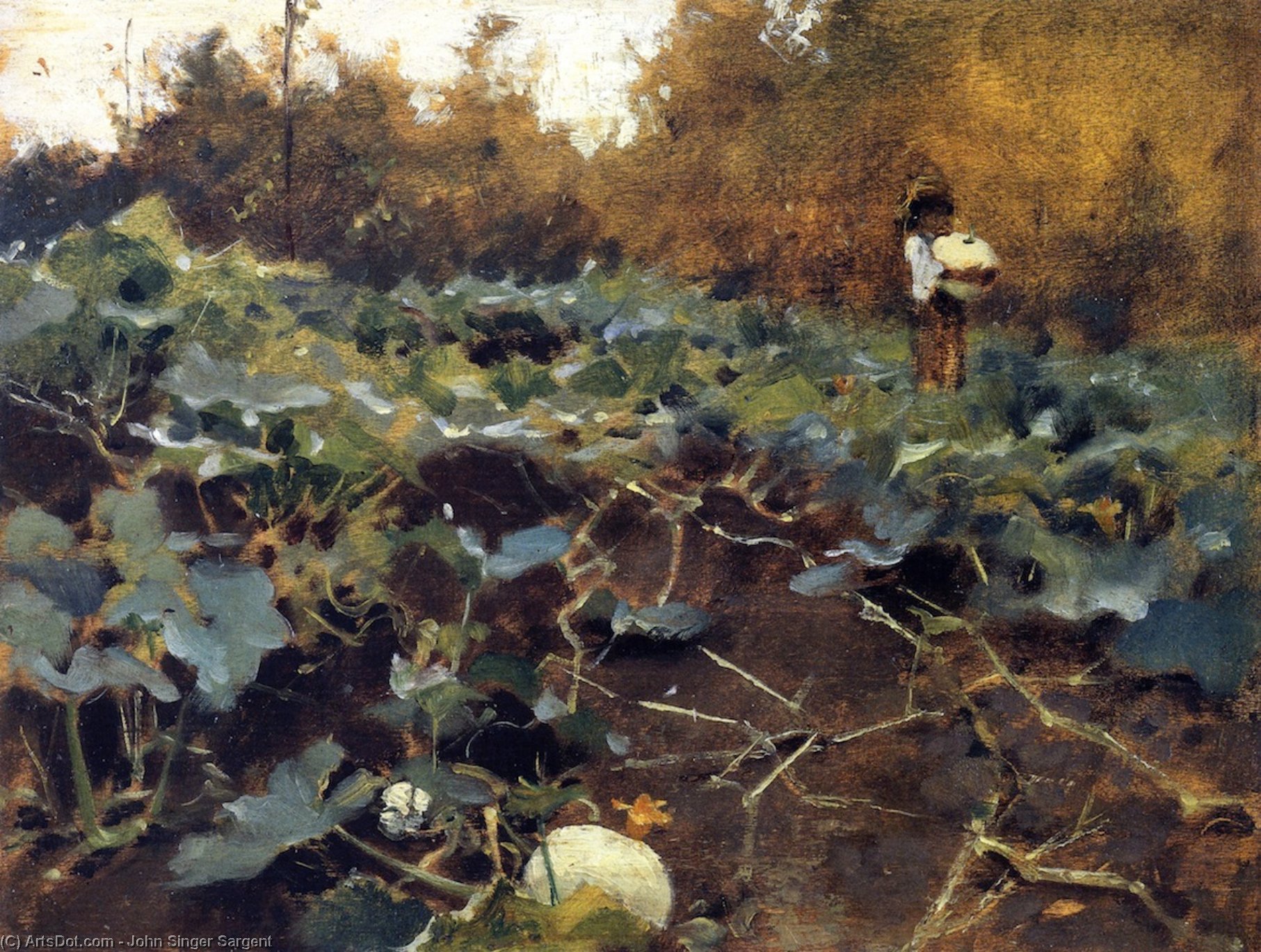 Wikioo.org - The Encyclopedia of Fine Arts - Painting, Artwork by John Singer Sargent - Pumpkins