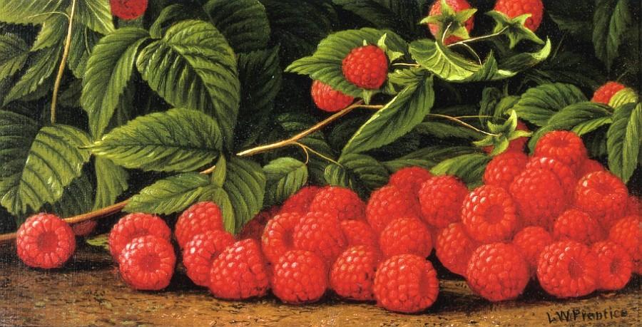 Wikioo.org - The Encyclopedia of Fine Arts - Painting, Artwork by Levi Wells Prentice - Raspberries