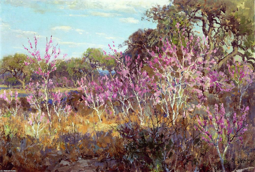 Wikioo.org - The Encyclopedia of Fine Arts - Painting, Artwork by Robert Julian Onderdonk - Redbud Tree in Bloom at Leon Springs, San Antonio