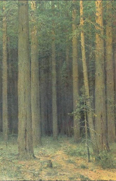Wikioo.org - The Encyclopedia of Fine Arts - Painting, Artwork by Ivan Ivanovich Shishkin - Reserve, pine forest
