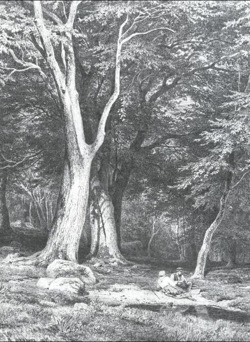 WikiOO.org - Encyclopedia of Fine Arts - Schilderen, Artwork Ivan Ivanovich Shishkin - Rest in a forest