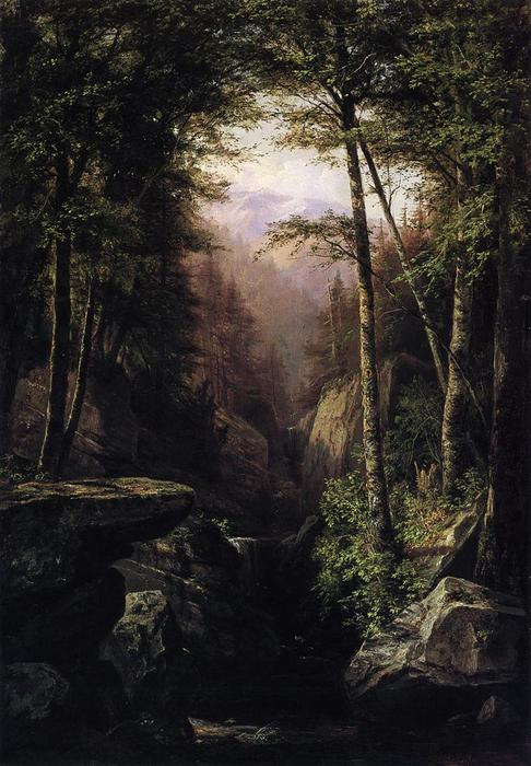 Wikioo.org - The Encyclopedia of Fine Arts - Painting, Artwork by George Hetzel - Rocky Gorge