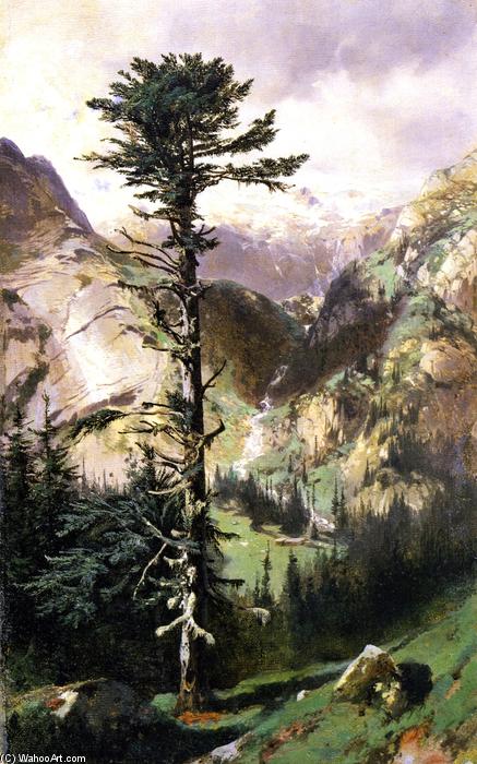 Wikioo.org – L'Encyclopédie des Beaux Arts - Peinture, Oeuvre de Alexandre Calame - rocheux cheminement