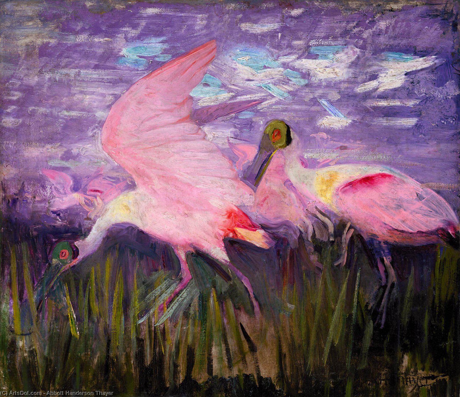 Wikioo.org - The Encyclopedia of Fine Arts - Painting, Artwork by Abbott Handerson Thayer - Roseate Spoonbills