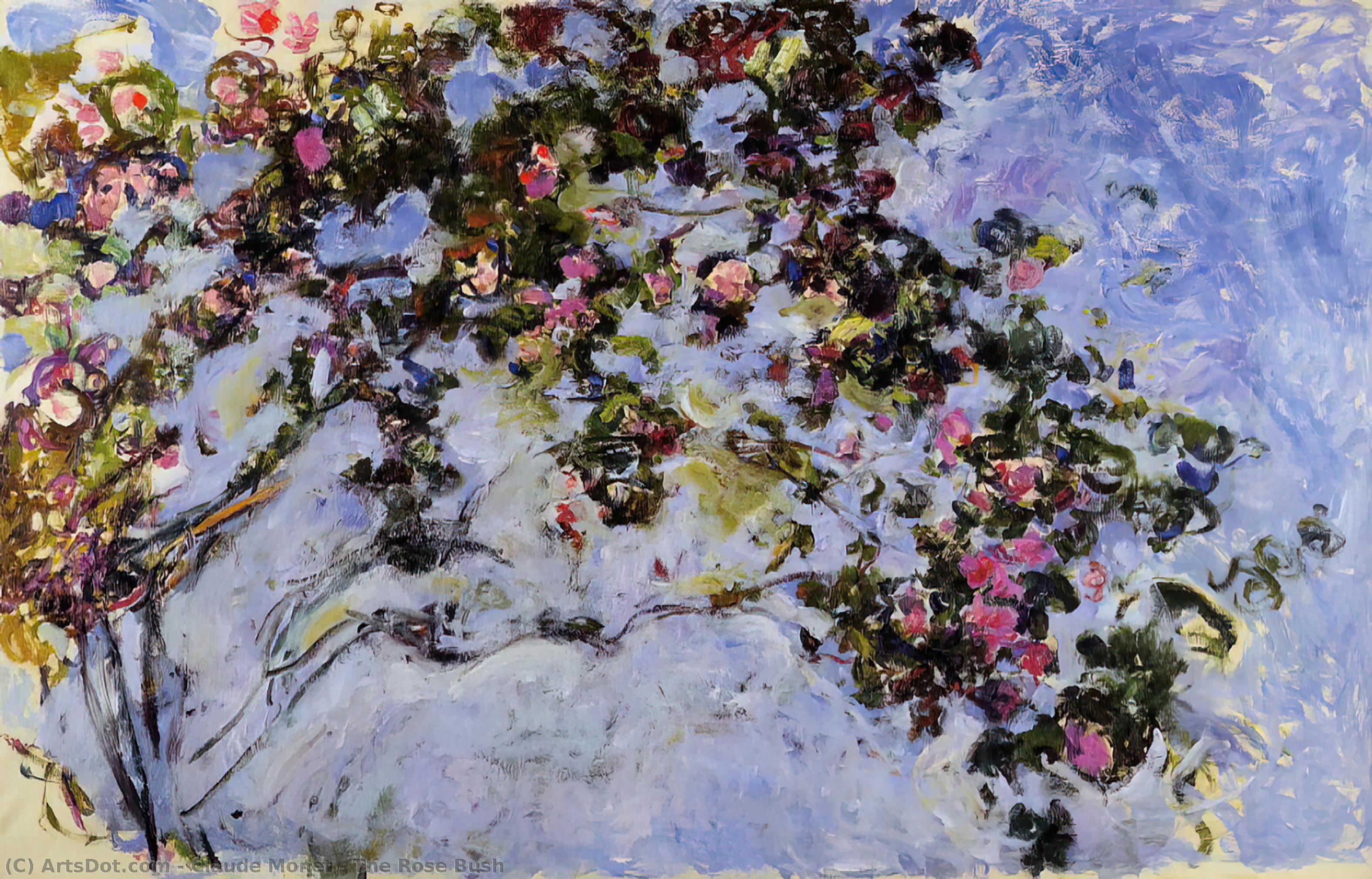 Wikioo.org - The Encyclopedia of Fine Arts - Painting, Artwork by Claude Monet - The Rose Bush