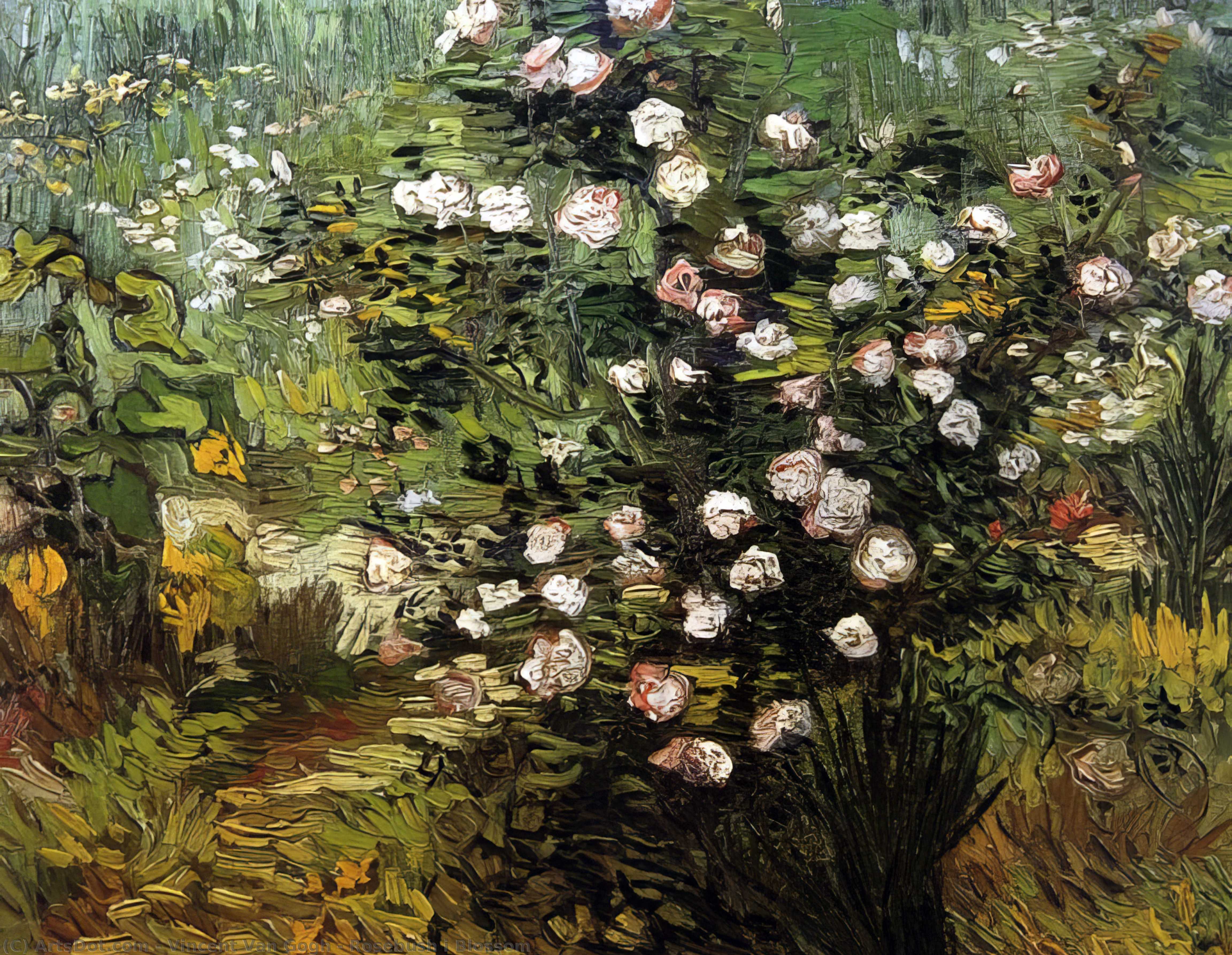 Wikoo.org - موسوعة الفنون الجميلة - اللوحة، العمل الفني Vincent Van Gogh - Rosebush i Blossom