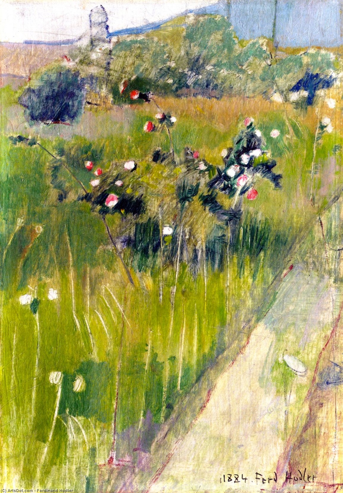 WikiOO.org - Encyclopedia of Fine Arts - Schilderen, Artwork Ferdinand Hodler - Rosebush in a Meadow