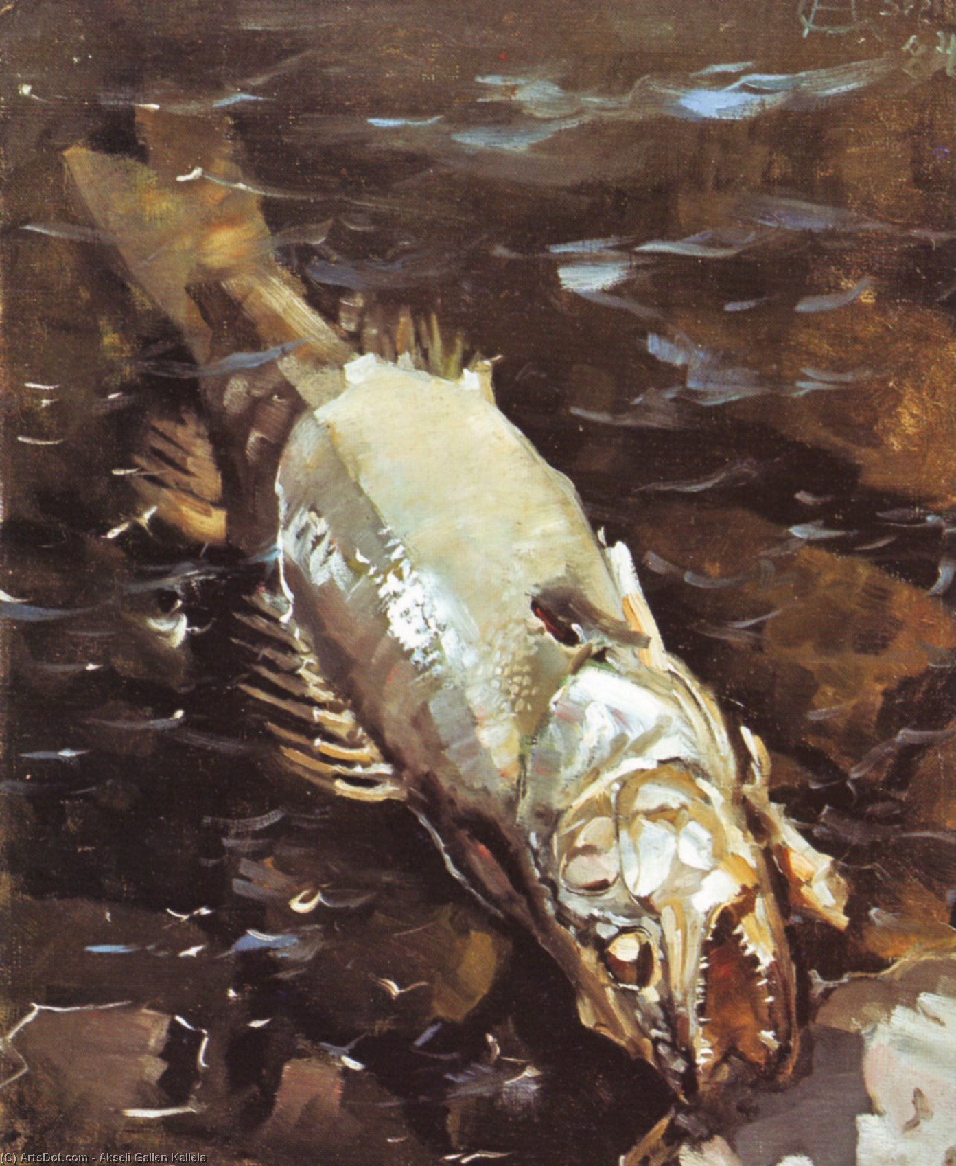 Wikioo.org - The Encyclopedia of Fine Arts - Painting, Artwork by Akseli Gallen Kallela - Rotting Fish