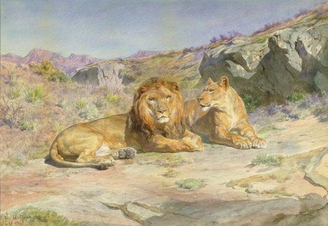 Wikioo.org - The Encyclopedia of Fine Arts - Painting, Artwork by Rosa Bonheur - Royalty at Home