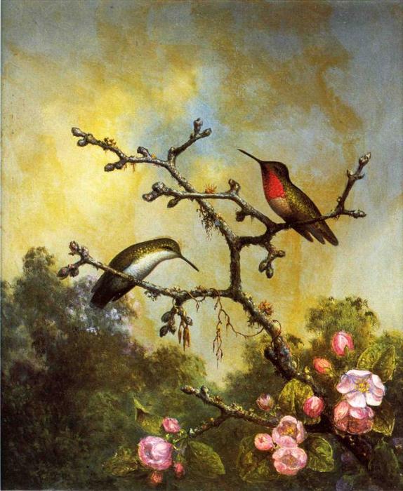 WikiOO.org - Enciclopédia das Belas Artes - Pintura, Arte por Martin Johnson Heade - Ruby-Throated Hummingbirds with Apple Blossoms