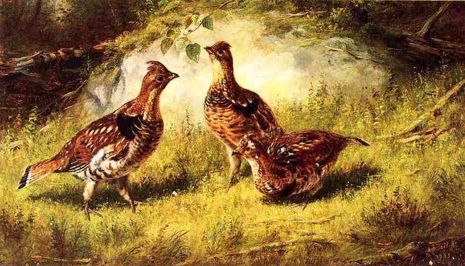 Wikioo.org - The Encyclopedia of Fine Arts - Painting, Artwork by Arthur Fitzwilliam Tait - Ruffed Grouse