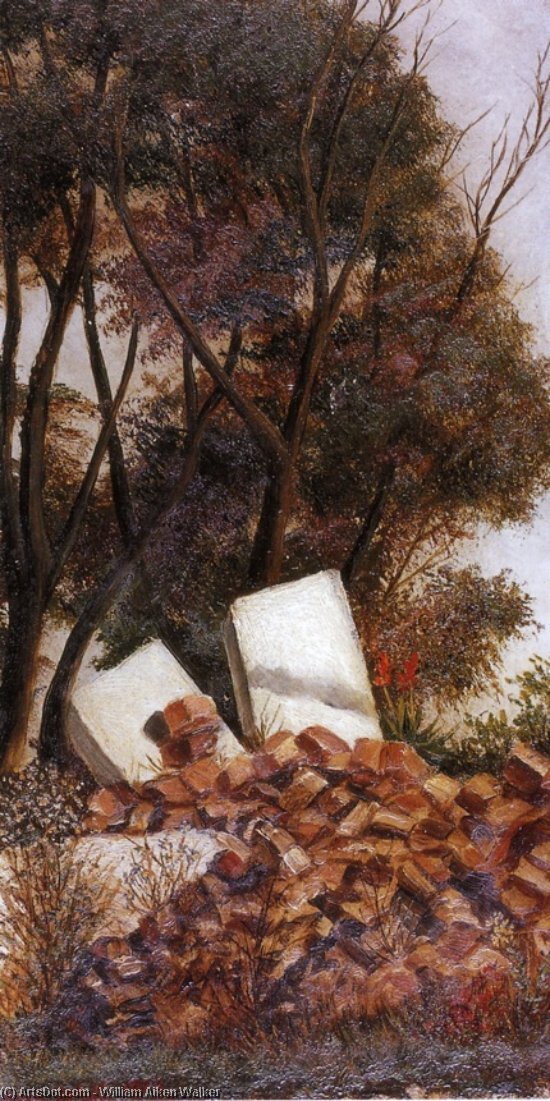 Wikioo.org - สารานุกรมวิจิตรศิลป์ - จิตรกรรม William Aiken Walker - Ruin of Luturne Cottage, Arden, North Carolina