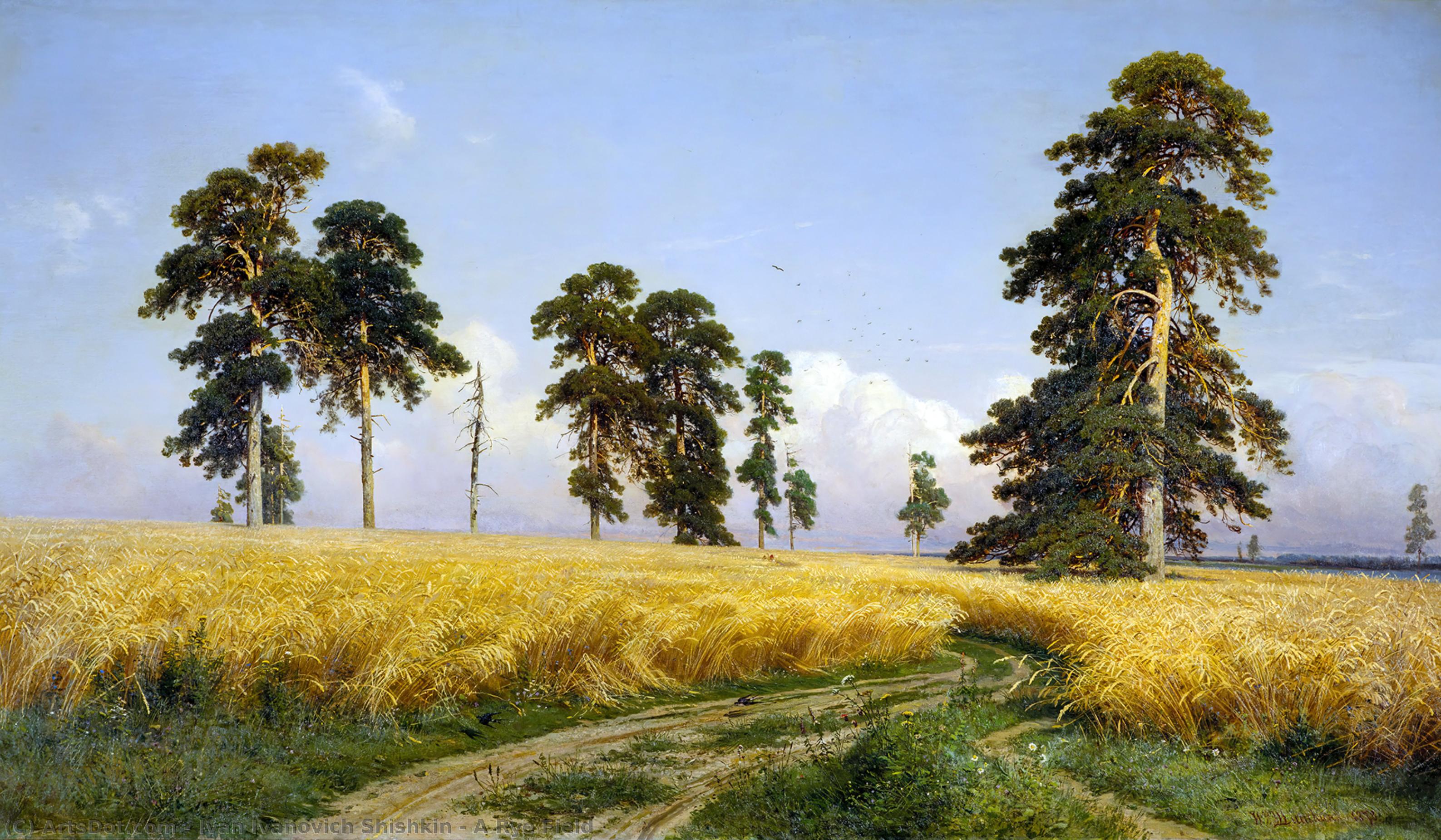 Wikioo.org - The Encyclopedia of Fine Arts - Painting, Artwork by Ivan Ivanovich Shishkin - A Rye Field