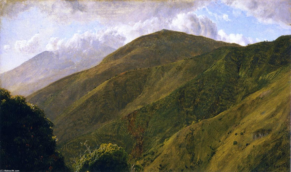 Wikioo.org – La Enciclopedia de las Bellas Artes - Pintura, Obras de arte de Frederic Edwin Church - Escena el azul Montañas , Jamaica