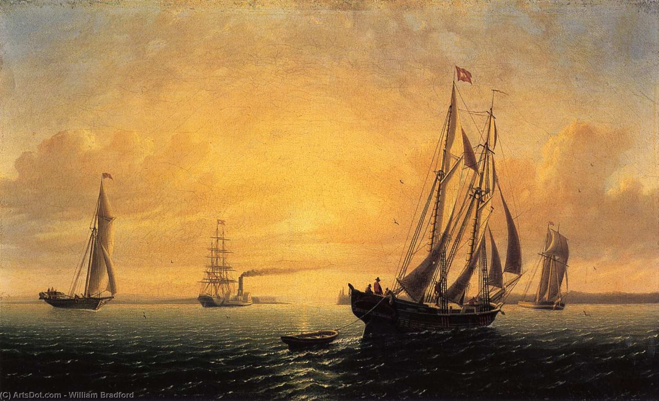 Wikioo.org - The Encyclopedia of Fine Arts - Painting, Artwork by William Bradford - The Schooner 'Jane' of Bath, Maine