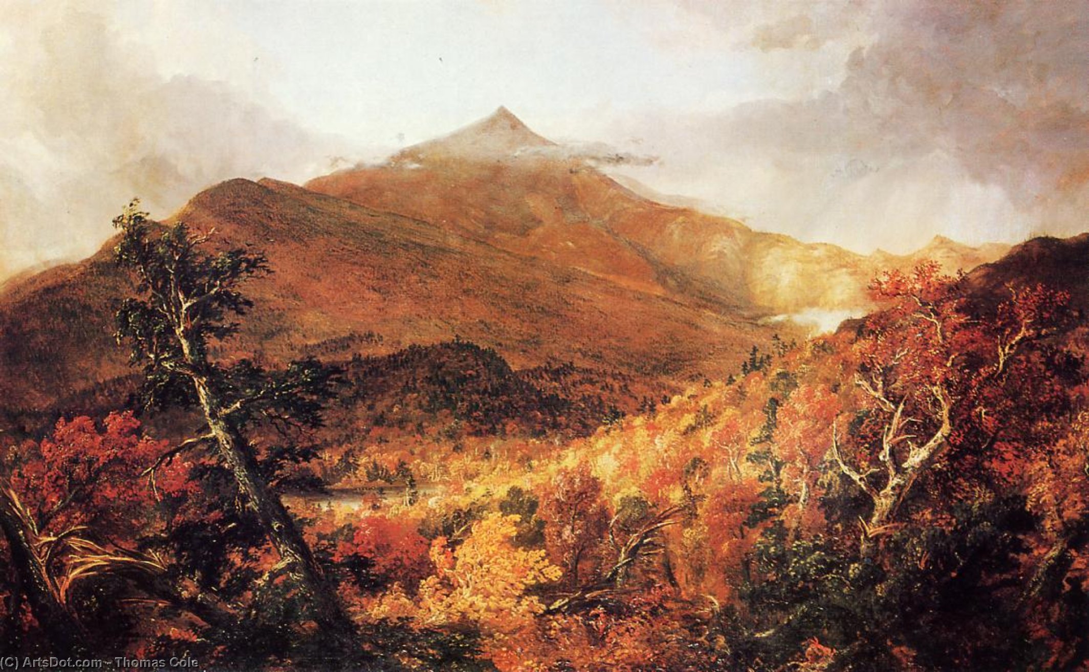 Wikioo.org – L'Enciclopedia delle Belle Arti - Pittura, Opere di Thomas Cole - schroon montagna , Adirondacks , Essex Paese , a new york , dopo un Tempesta