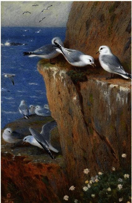 Wikioo.org - The Encyclopedia of Fine Arts - Painting, Artwork by Archibald Thorburn - Seagulls