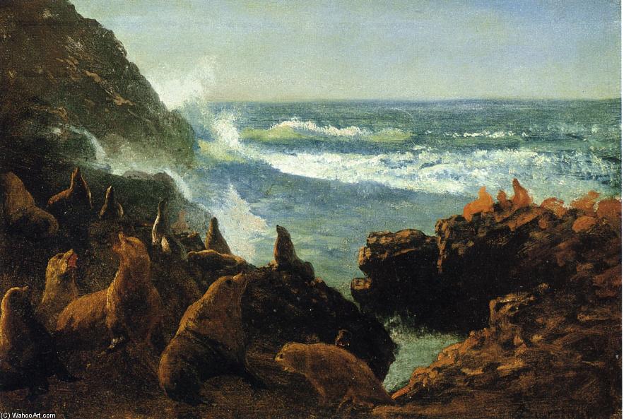 Wikioo.org - The Encyclopedia of Fine Arts - Painting, Artwork by Albert Bierstadt - Sea Lions, Farallon Islands