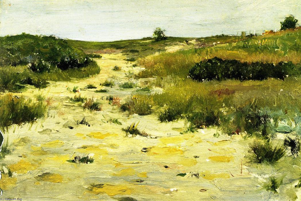 Wikioo.org - The Encyclopedia of Fine Arts - Painting, Artwork by William Merritt Chase - Shinnecock Hills (8)