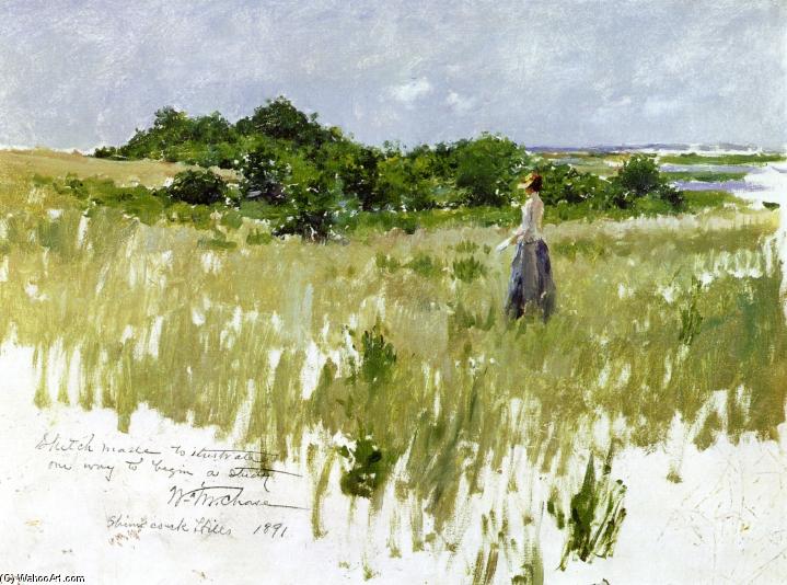 Wikioo.org - The Encyclopedia of Fine Arts - Painting, Artwork by William Merritt Chase - Shinnecock Hills (also known as A View of Shinnecock)