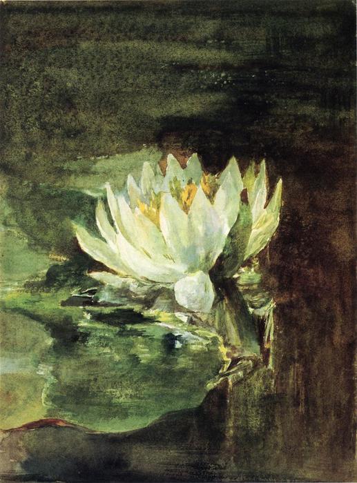 Wikioo.org - The Encyclopedia of Fine Arts - Painting, Artwork by John La Farge - Single Water-Lily in Sunlight
