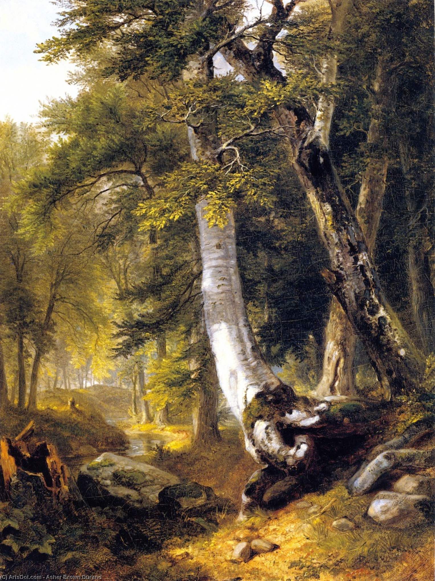 Wikioo.org - The Encyclopedia of Fine Arts - Painting, Artwork by Asher Brown Durand - Sketch in the Woods (also known as Landscape, Wood Scene)