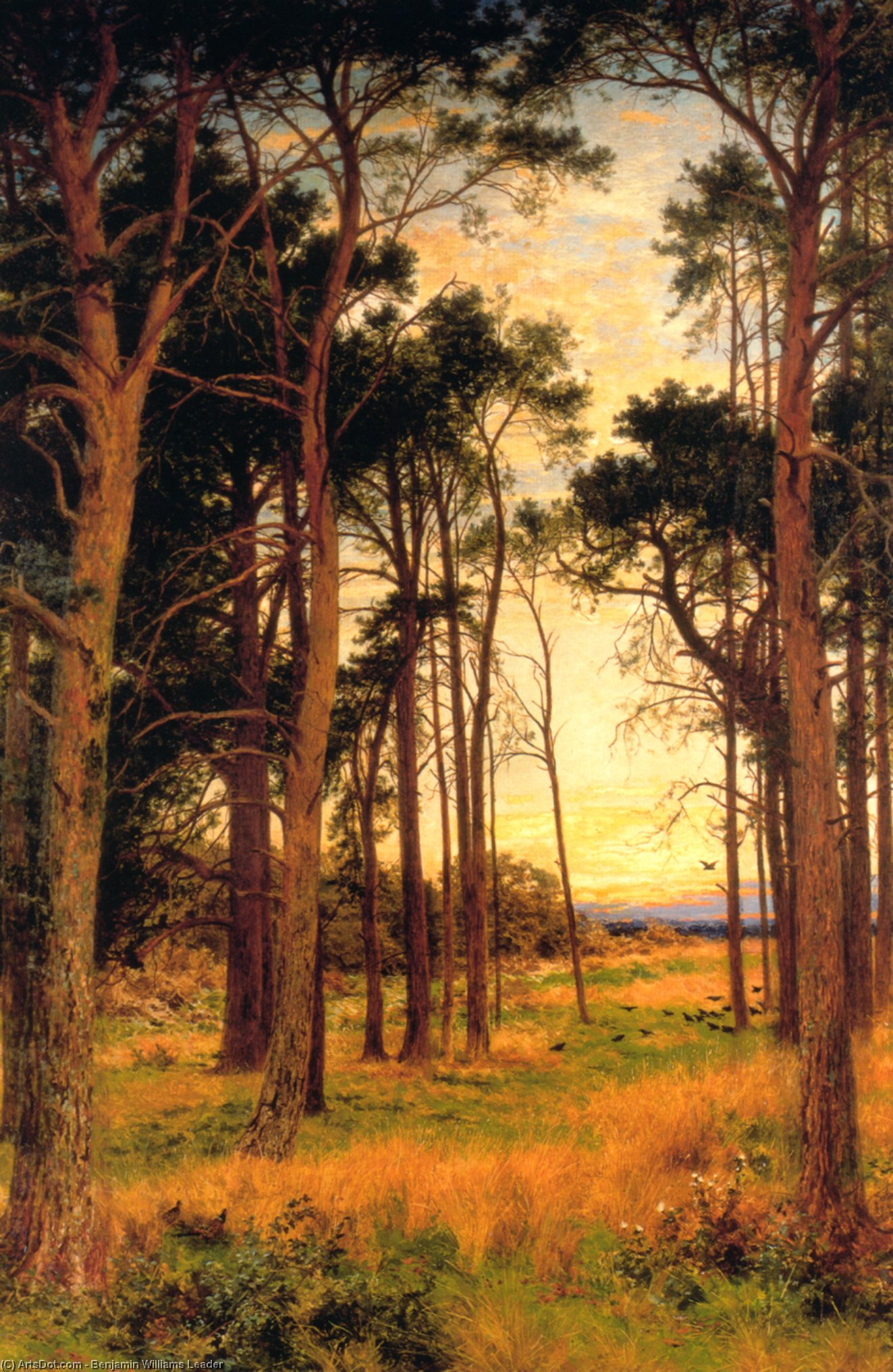 Wikioo.org - The Encyclopedia of Fine Arts - Painting, Artwork by Benjamin Williams Leader - Skirt of a Pine Wood