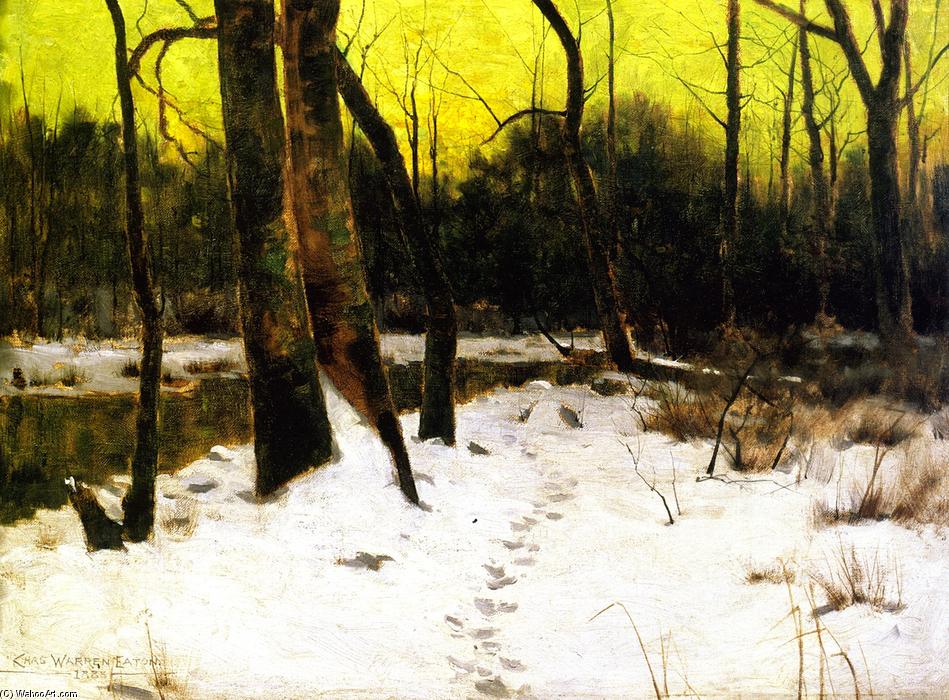 Wikioo.org - The Encyclopedia of Fine Arts - Painting, Artwork by Charles Warren Eaton - Snow