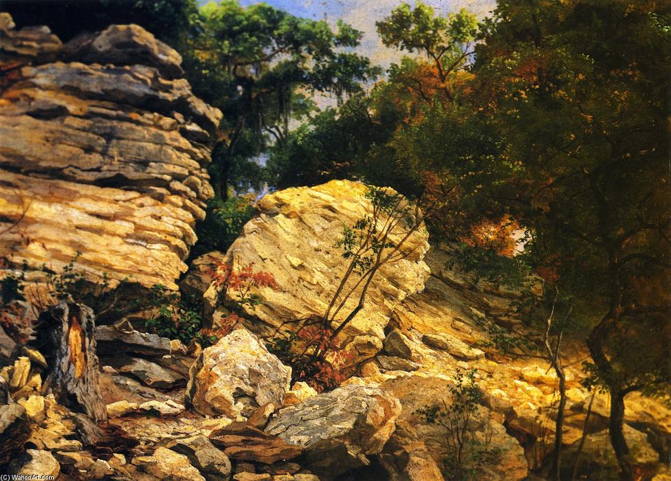 Wikioo.org - The Encyclopedia of Fine Arts - Painting, Artwork by Herman Lungkwitz - Split Rok on Shoal Creek, Austin