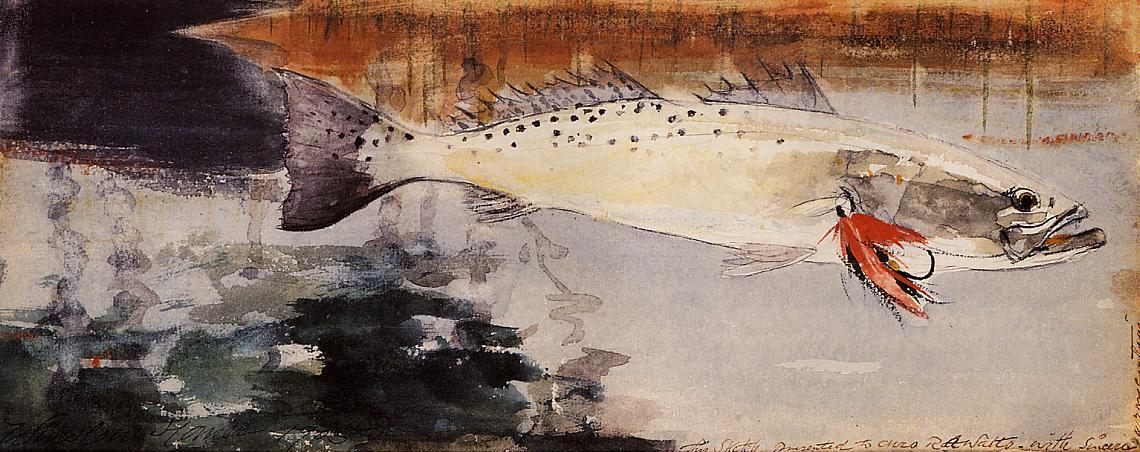 Wikioo.org - Encyklopedia Sztuk Pięknych - Malarstwo, Grafika Winslow Homer - Spotted Weakfish (also known as Sea Trout)