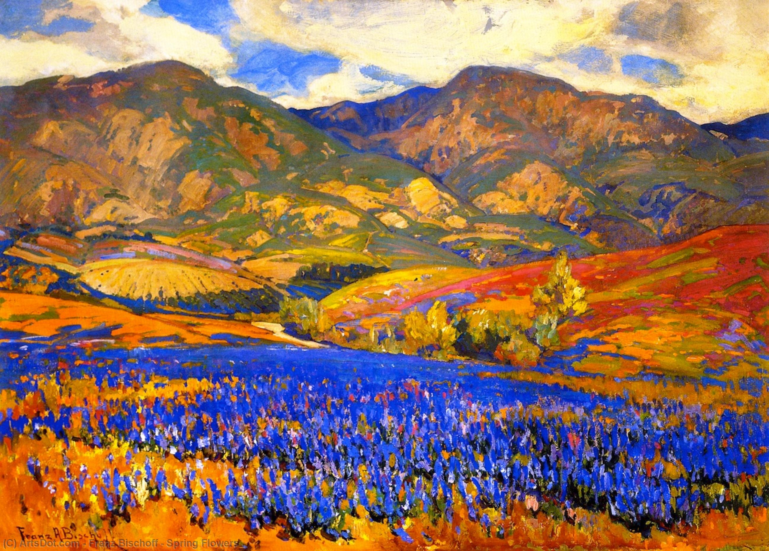 Wikioo.org - The Encyclopedia of Fine Arts - Painting, Artwork by Franz Bischoff - Spring Flowers