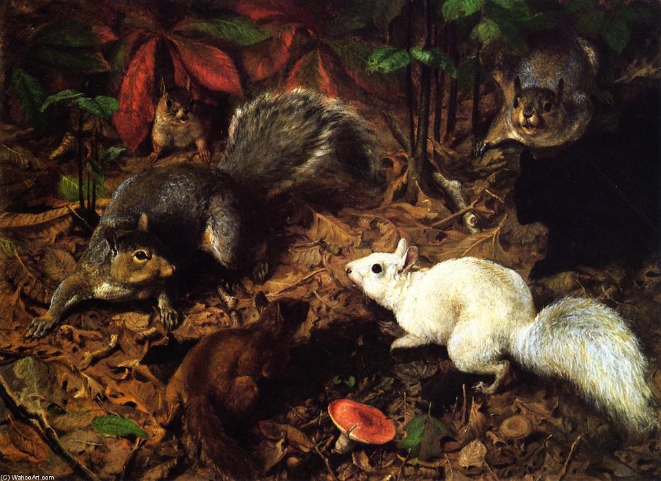 WikiOO.org - Encyclopedia of Fine Arts - Malba, Artwork William Holbrook Beard - Squirrels (also known as The White Squirrel)