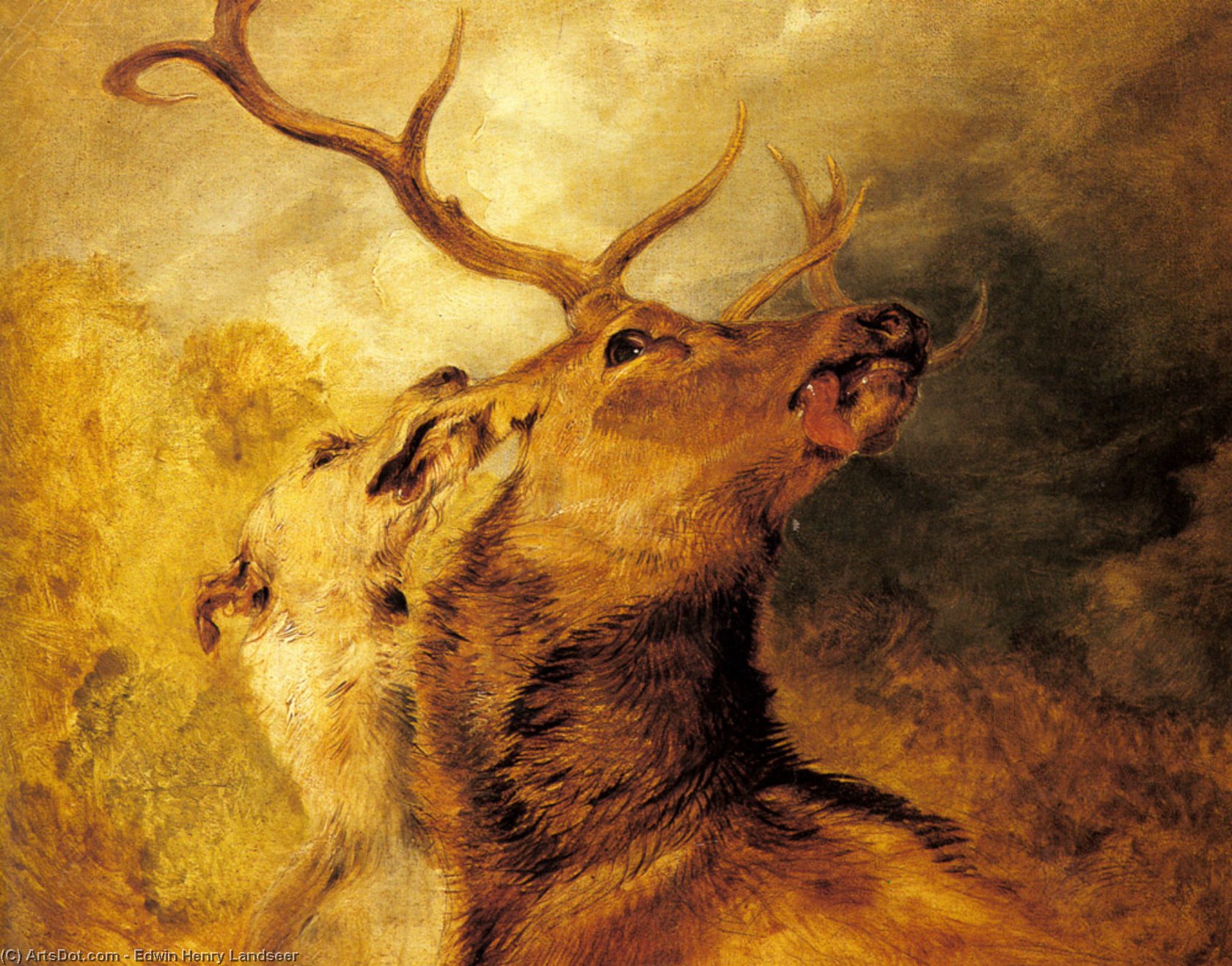 Wikioo.org - The Encyclopedia of Fine Arts - Painting, Artwork by Edwin Henry Landseer - Stag and Hound