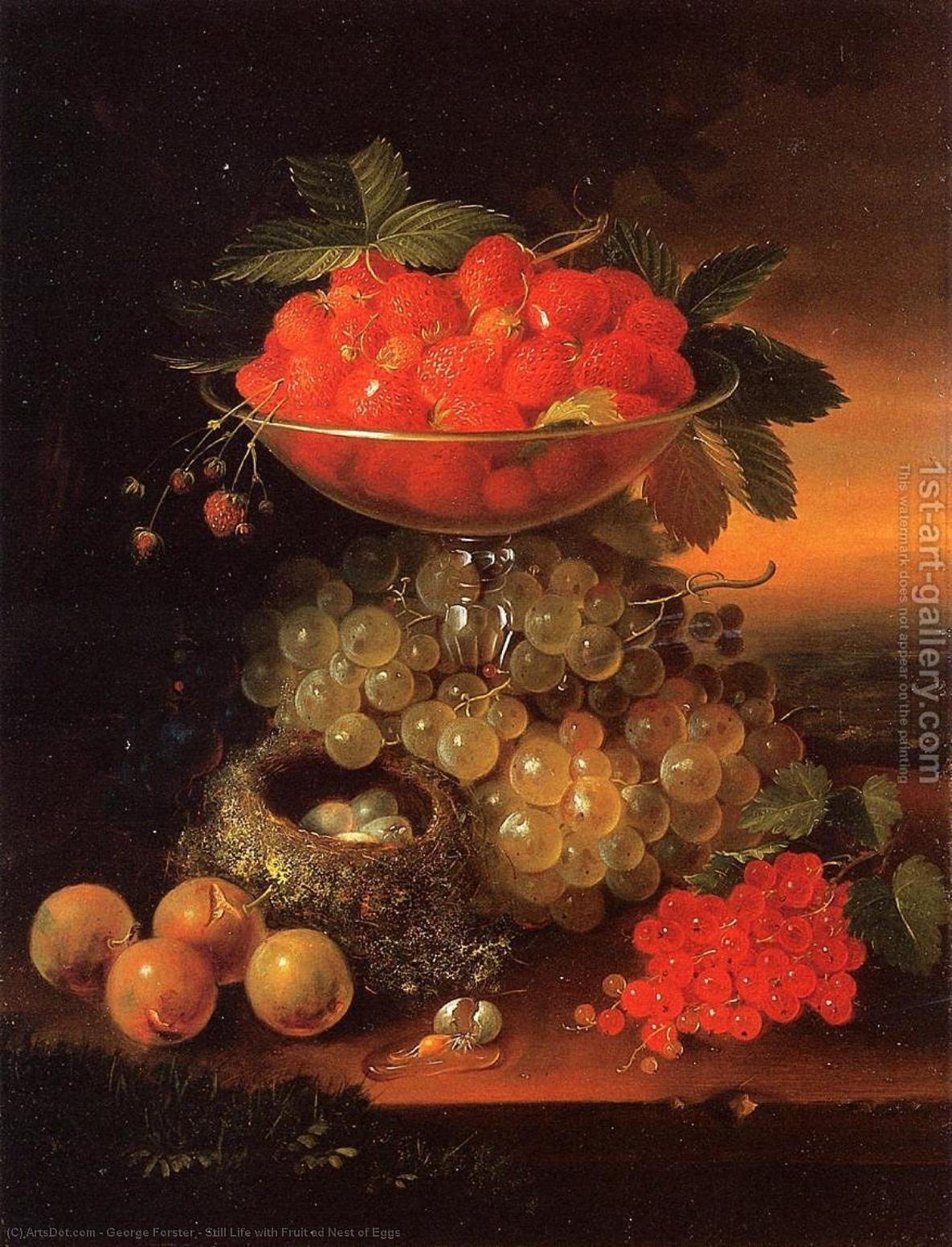 Wikioo.org - The Encyclopedia of Fine Arts - Painting, Artwork by George Forster - Still Life with Fruit ad Nest of Eggs